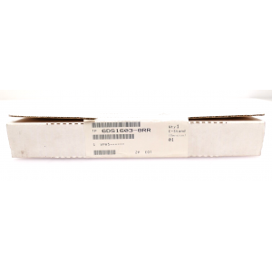 6DS1603-8RR