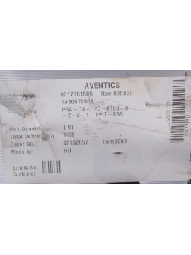 r480079809-aventics