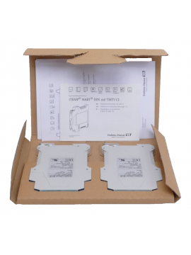 tmt112-b31ba-endress+hauser