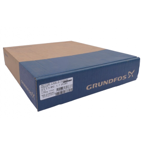 P31816 GRUNDFOS