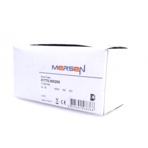 01770.000200 MERSEN