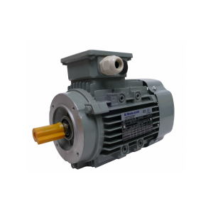 FCPA AC-MOTOREN