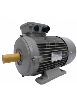 15aa100l-lammers