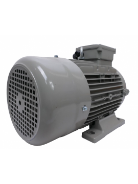 15aa100l-lammers