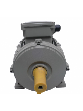 15aa100l-lammers