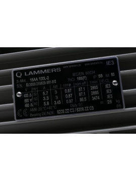 2895-3474-lammers