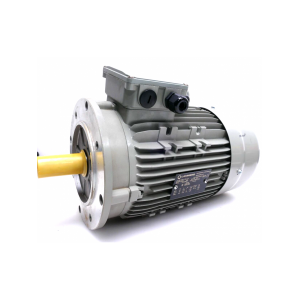 15AA 100 LAMMERS
