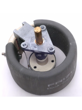r100a-30-ref-frizlen