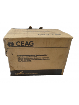 ghg4118100r0009-ceag