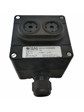 ghg4118100r0009-ceag