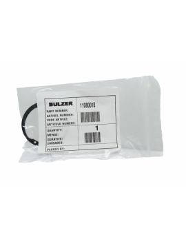 11080010-sulzer