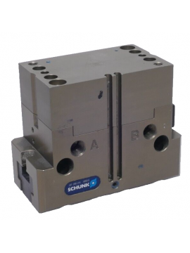 308641-ref-schunk