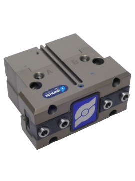 308641-ref-schunk
