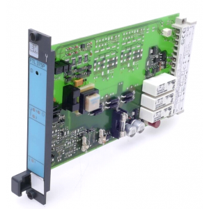 250001102 ENDRESS+HAUSER