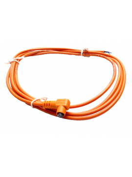 e10217-ifm electronic