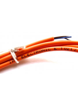 e10217-ifm electronic