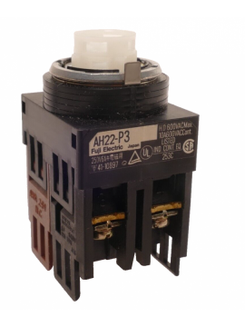 ah22-p3-fuji electric