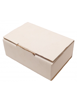 061113-1-9789-110544-silicann technologies