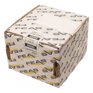 58006 FEAS