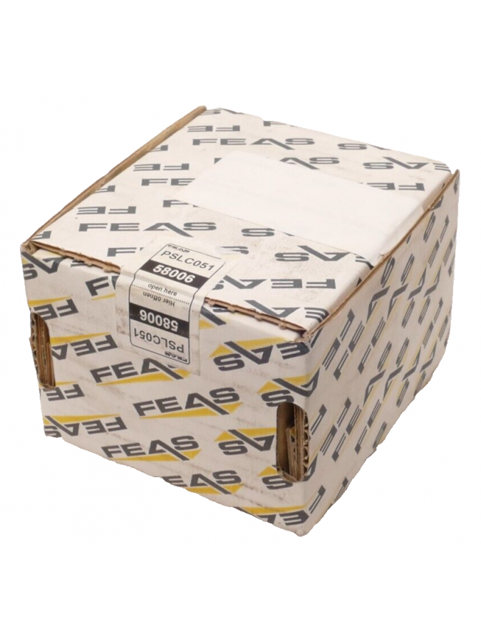 58006-feas