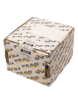 58006-feas