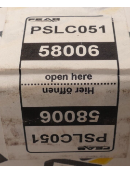 58006-feas