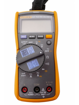 117-fluke