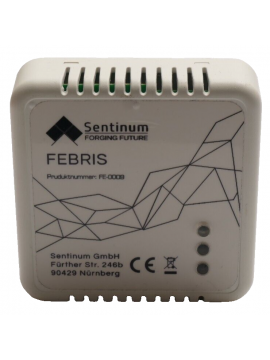 fe-0009-sentinum