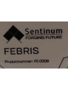 fe-0009-sentinum