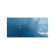 0927053003-sonstige