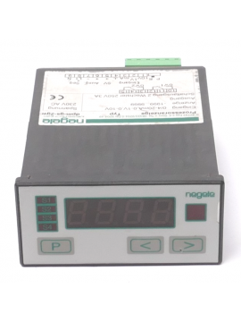 dpm-gs-2gw-ref-negele