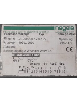 dpm-gs-2gw-ref-negele