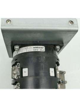 429523-usd-sälzer