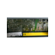 b9016/00-usd-bachmann