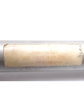 120-10012-11-usd-hänchen