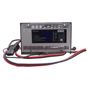 1n/pe-usd-flexy plus