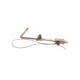 92701462-usd-rsg