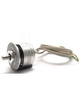dg58-2000-10-kf-a-usd-martens