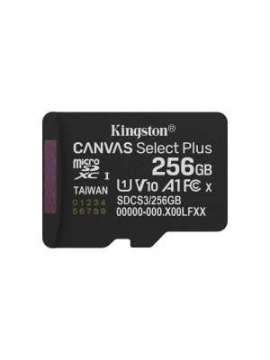 sdmicro256gb king sdcs3/256gb-kingston