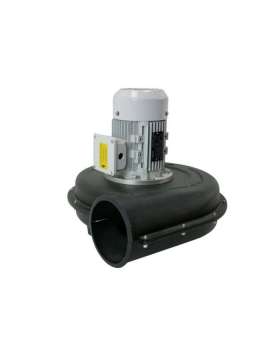 12aa 801-2-usd-lammers