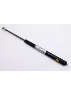 gs-22-200-ee-900n-usd-ace