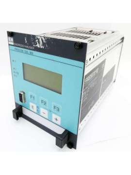 dzl 363-usd-endress+hauser