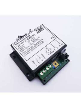 tsrlf422001300-usd-fsm