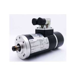 SDSGAIG056-22 LENZE USADO
