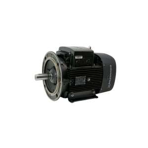ML160BB-2-FF300-H3 GRUNDFOS