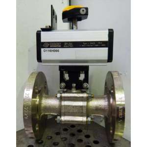 D116H066  DN25/PN16 OMAL