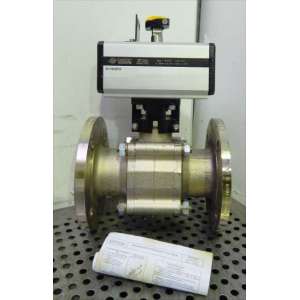 D116H070 DN65/PN16 OMAL