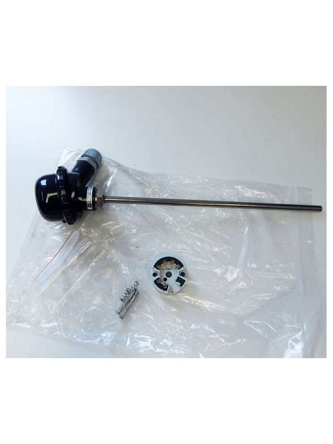tst12-d1gs12db1a0-endress+hauser