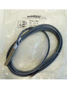 9918-2700-pulsotronic
