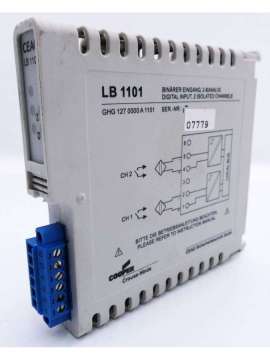 lb 1101-usd-ceag